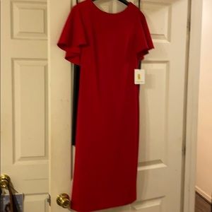 NWT Calvin Klein Dress